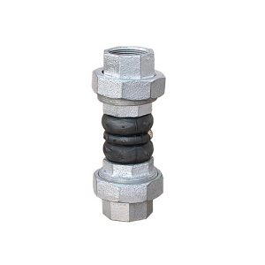 Xhunto antivibrante me fileto 2 1/2" PN16