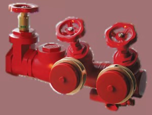 Grup lidhjeje autopompe i filetuar 2½” x 1 DN70